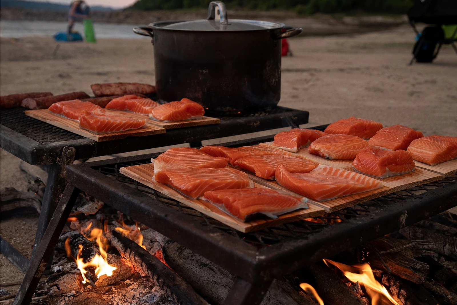 salmon being cooked over open fire