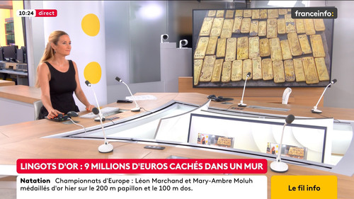 Le fil info (Franceinfo) 2026 08 16 07 54 59.ts snapshot 01.31.37.660.jpg