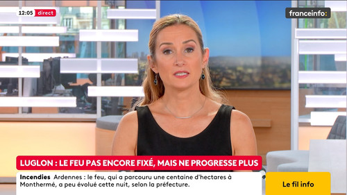 Le fil info (Franceinfo) 2026 08 16 07 54 59.ts snapshot 03.12.47.789