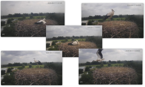 Bilder9.jpg