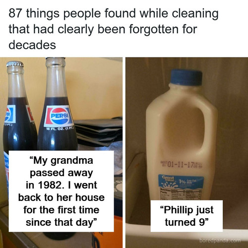 curiosities things.jpg