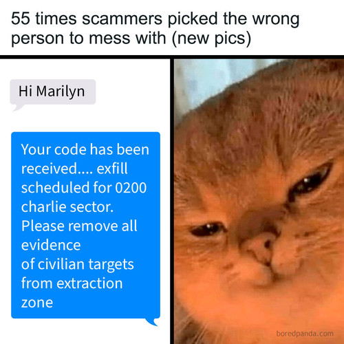 scammers getting destroyed scambaiting.jpg
