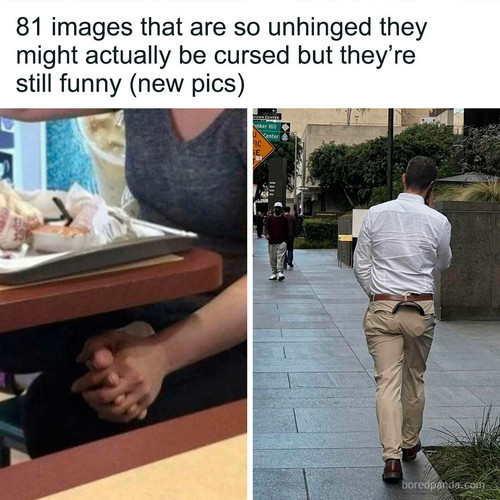 unhinged random pics.jpg