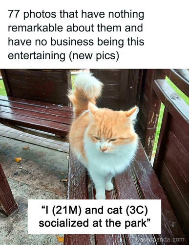 hilariously uninteresting photos.jpg