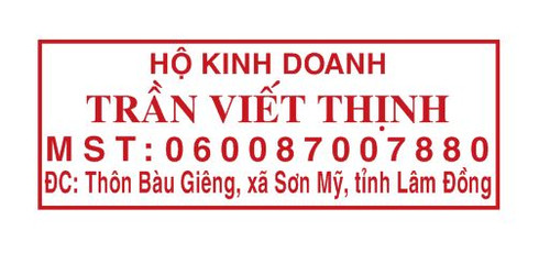 viet thinh.jpg