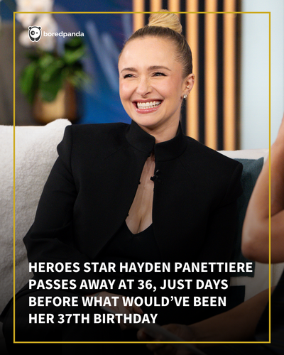 Hayden BP Main.png