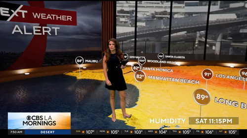 08.02 15.00.00 CBS LA Mornings at 7am ᴺᵉʷ. Start your day with C....ts snapshot 00.51.04.524