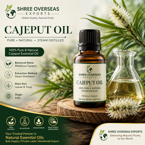 Cajeput Essential Oil Manufacturer India – Premium Bulk Supply for Global Buyers.png
