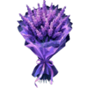 photo 2026 08 17 14 55 21 removebg preview (1).png