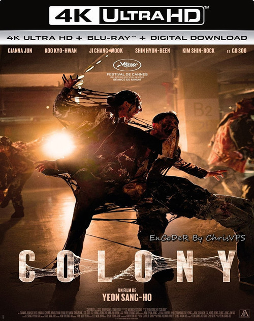 Colony 2026.jpg