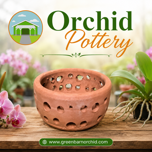 Orchid Pottery: Beautiful and Practical Pots for Your Orchids.png
