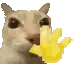 挥手拜拜.gif