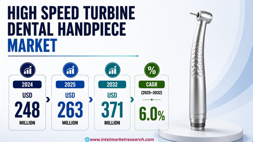 httpswww.24lifesciences.com 2026 08 17T121301.672.jpg