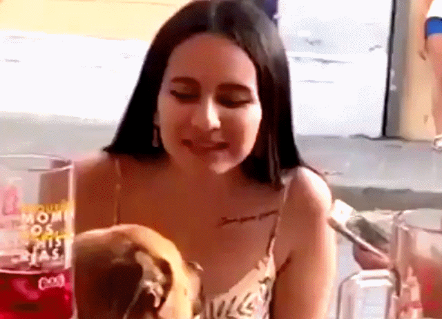 Cseitg1.gif