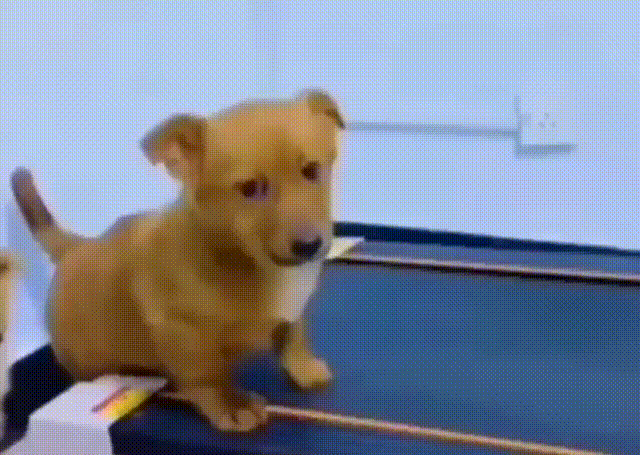 Cseyq2R.gif