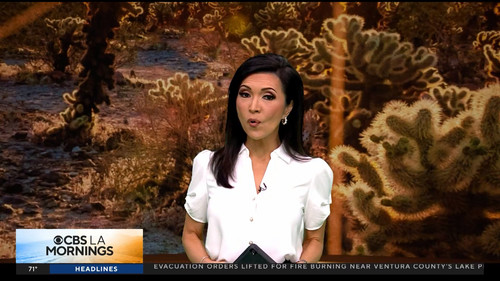08.09 15.00.00 CBS LA Mornings at 7am ᴺᵉʷ. Start your day with C....ts snapshot 00.34.49.851.jpg
