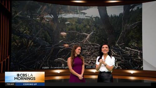 08.09 15.00.00 CBS LA Mornings at 7am ᴺᵉʷ. Start your day with C....ts snapshot 00.54.24.333