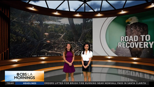 08.09 15.00.00 CBS LA Mornings at 7am ᴺᵉʷ. Start your day with C....ts snapshot 00.54.31.597.jpg