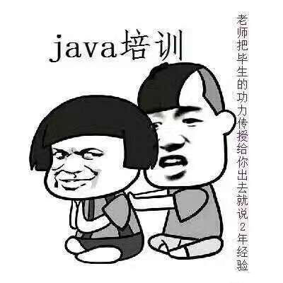程序员系列表情:java培训
