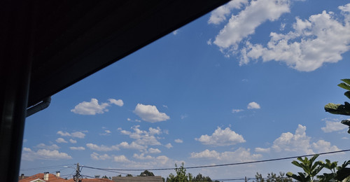 IMG 20260817 153010.jpg