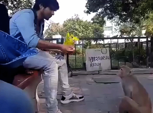 CskBI1I.gif