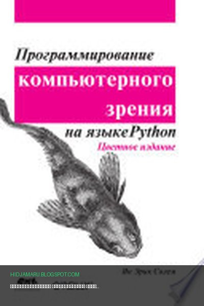 Обложка книги «Программирование компьютерного зрения на языке Python» - Ян Солем