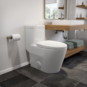Side Flush One-Piece Toilet.jpg