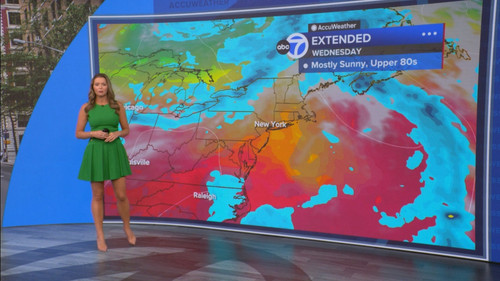 08.16 14.00.00 Eyewitness News Sunday Morning ᴺᵉʷ. News coverage....ts snapshot 00.47.10.085