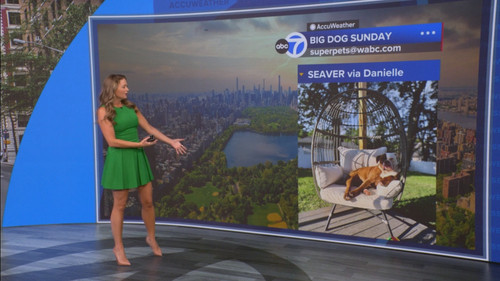 08.16 14.00.00 Eyewitness News Sunday Morning ᴺᵉʷ. News coverage....ts snapshot 00.52.30.580