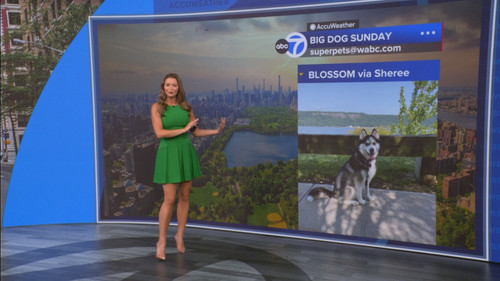 08.16 14.00.00 Eyewitness News Sunday Morning ᴺᵉʷ. News coverage....ts snapshot 00.52.13.410