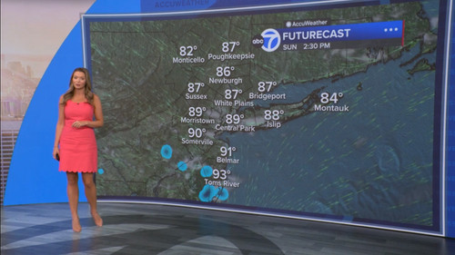 08.09 14.00.00 Eyewitness News Sunday Morning ᴺᵉʷ. News coverage....ts snapshot 00.21.32.535