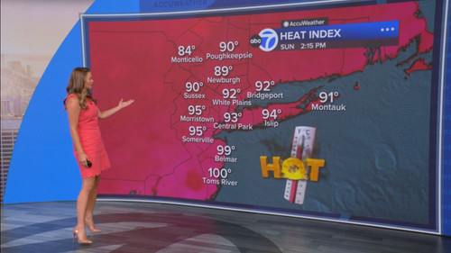 08.09 14.00.00 Eyewitness News Sunday Morning ᴺᵉʷ. News coverage....ts snapshot 00.20.40.948