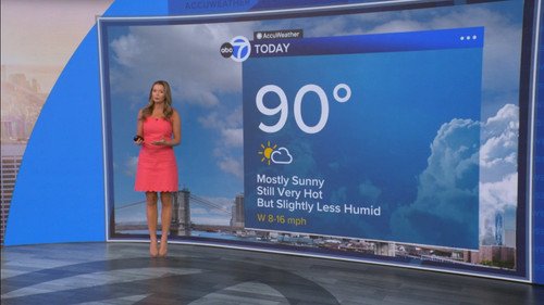 08.09 14.00.00 Eyewitness News Sunday Morning ᴺᵉʷ. News coverage....ts snapshot 00.22.26.988