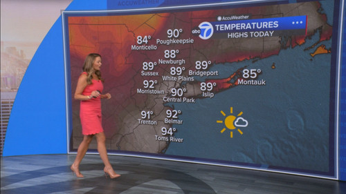 08.09 14.00.00 Eyewitness News Sunday Morning ᴺᵉʷ. News coverage....ts snapshot 00.20.26.619