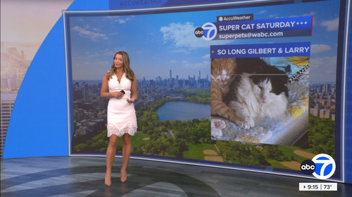 08.15 14.00.00 Eyewitness News This Morning ᴺᵉʷ. News coverage t....ts snapshot 00.16.31.786