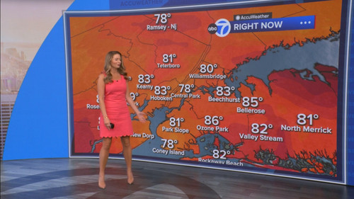 08.09 14.00.00 Eyewitness News Sunday Morning ᴺᵉʷ. News coverage....ts snapshot 00.45.19.769