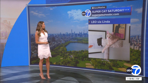 08.15 14.00.00 Eyewitness News This Morning ᴺᵉʷ. News coverage t....ts snapshot 00.16.43.252