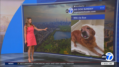 08.09 14.00.00 Eyewitness News Sunday Morning ᴺᵉʷ. News coverage....ts snapshot 00.54.24.296