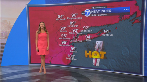 08.09 14.00.00 Eyewitness News Sunday Morning ᴺᵉʷ. News coverage....ts snapshot 00.45.48.429