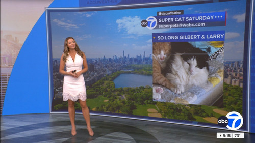 08.15 14.00.00 Eyewitness News This Morning ᴺᵉʷ. News coverage t....ts snapshot 00.16.28.919