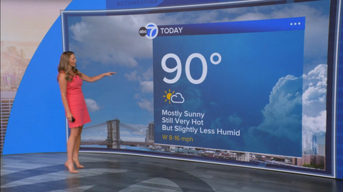 08.09 14.00.00 Eyewitness News Sunday Morning ᴺᵉʷ. News coverage....ts snapshot 00.47.48.798