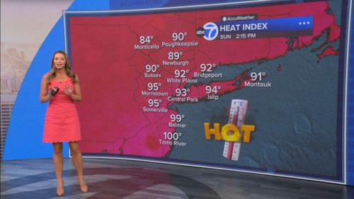 08.09 14.00.00 Eyewitness News Sunday Morning ᴺᵉʷ. News coverage....ts snapshot 00.20.35.216