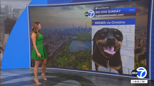 08.16 14.00.00 Eyewitness News Sunday Morning ᴺᵉʷ. News coverage....ts snapshot 00.14.55.669