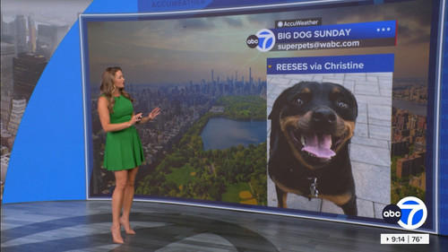 08.16 14.00.00 Eyewitness News Sunday Morning ᴺᵉʷ. News coverage....ts snapshot 00.15.01.392