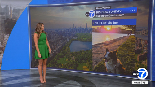08.16 14.00.00 Eyewitness News Sunday Morning ᴺᵉʷ. News coverage....ts snapshot 00.15.18.561