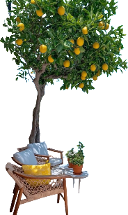 retouch 2026081710224536.png