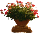 retouch 2026081710130148.png