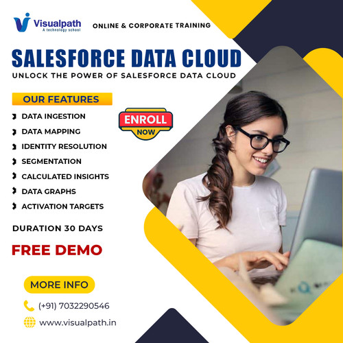 Master Salesforce Data Cloud Course | Hands-On Learning.jpg