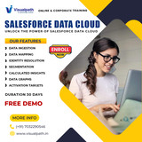 Master Salesforce Data Cloud Course | Hands-On Learning