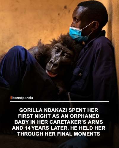 img facts (2).jpg